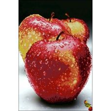 ФЧК-3016 Вкус яблок. Схема для вышивки бисером Феникс