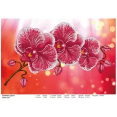 ЮМА-216 Любимые цветы. Схема для вышивки бисером