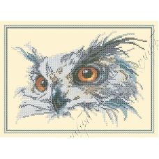 ФЧК-3052 Портрет совы. Схема для вышивки бисером Феникс
